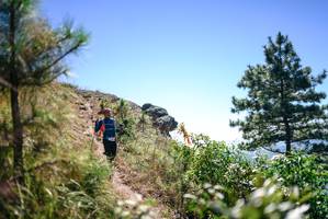 BIB: 
                            <button type="button" onclick="openModal(26608174)" class="btn btn-primary btn-sm float-right btn-popup" data-toggle="modal" data-target=".modal-high-quality">
                        <i class="fas fa-shopping-cart"></i> Add to Cart
                    </button>
                                            <button type="button" onclick="isThisMe(26608174, true)" class="btn btn-success btn-sm float-right btn-popup btn-isme hidden" data-toggle="tooltip" data-placement="bottom" title="นี่คือรูปของคุณใช่ไหม คลิกที่นี่เพื่อเอาเข้าอัลบั้ม">
                        <i class="fas fa-plus"></i> Add to album
                    </button>
                    <button type="button" onclick="isThisMe(26608174, false)" class="btn btn-warning btn-sm float-right btn-popup btn-isnotme hidden">
                        <i class="fas fa-ban"></i> Remove from album
                    </button>